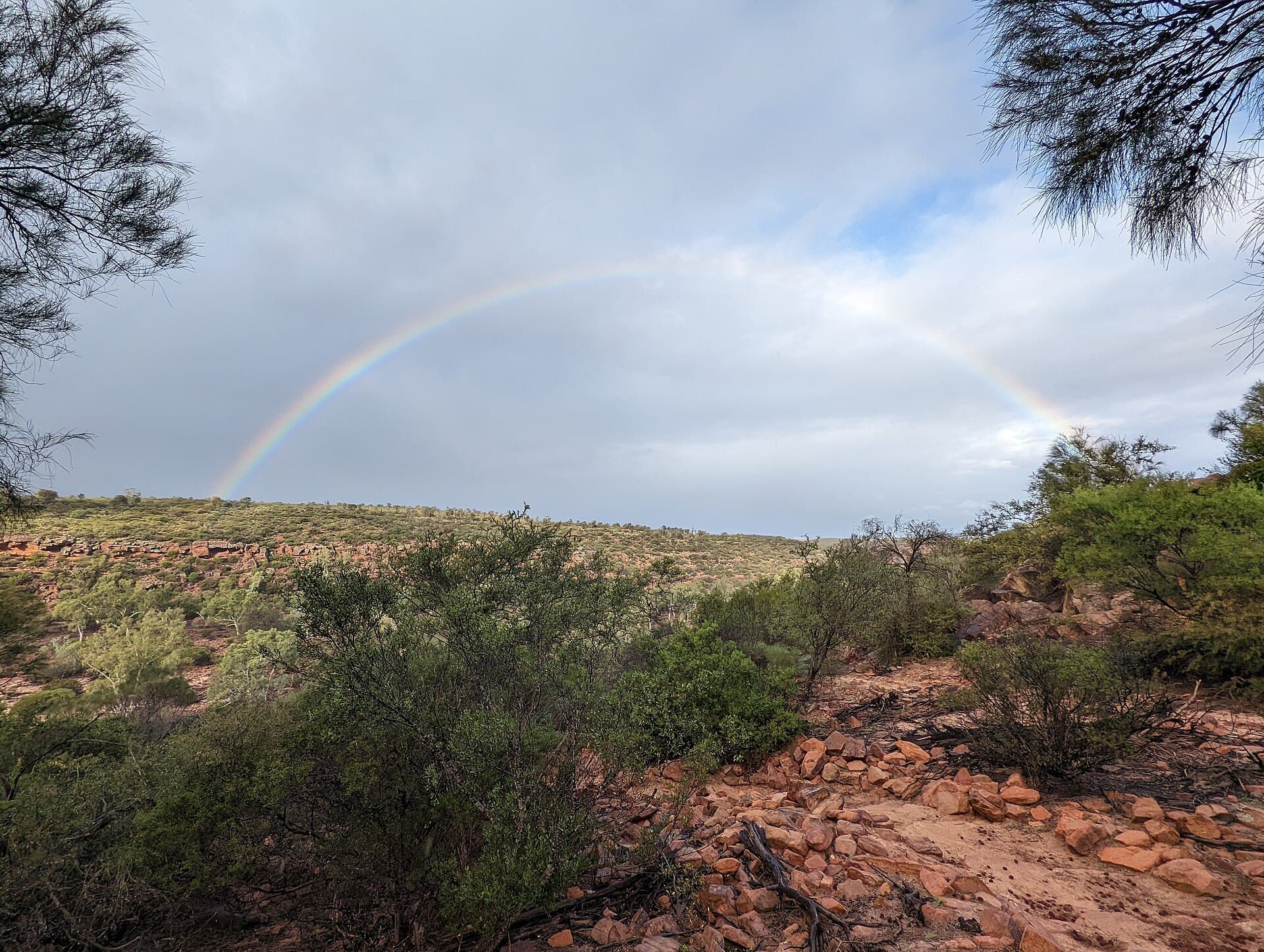 Kalbarri Skywalk platforms above the Murchison River gorge